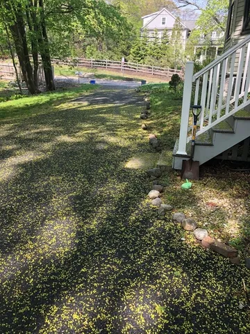 a view of a garden with an outdoor space