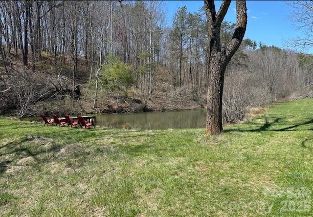132 Hurd Road Canton, NC 28716 - Photo 26 of 41