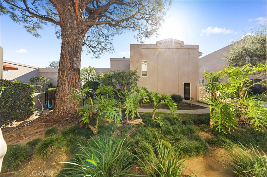 573 Fairview Avenue Arcadia, CA 91007 - Photo 5 of 55 Side View