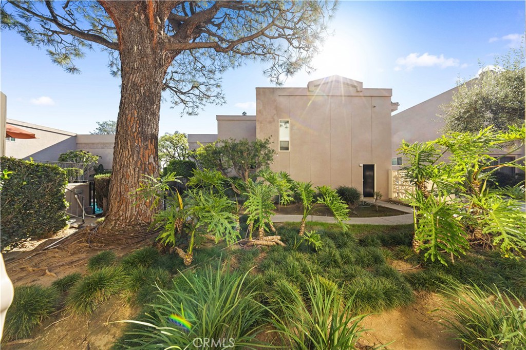 573 Fairview Avenue Arcadia, CA 91007 - Photo 5 of 55 Side View