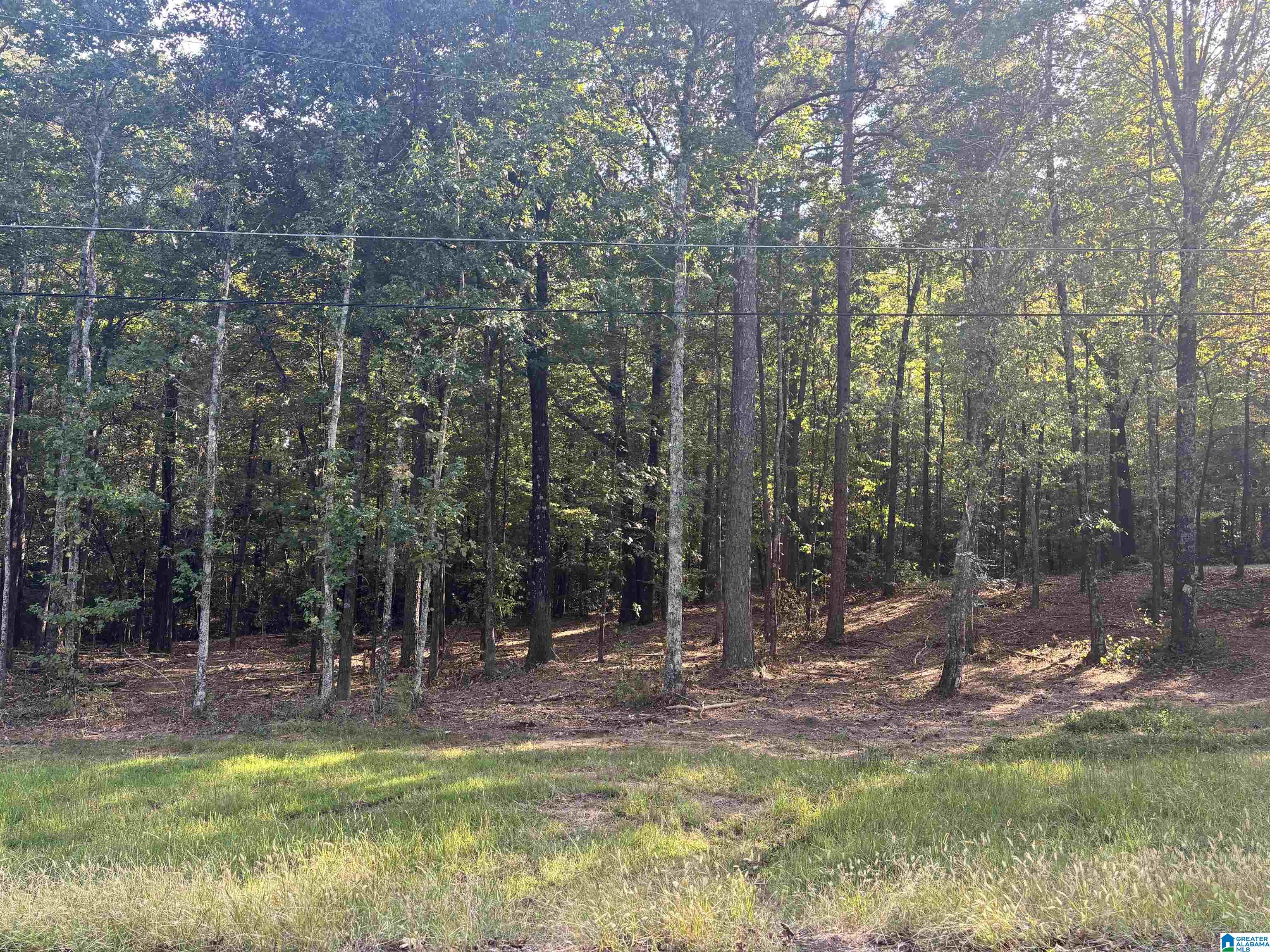 Lot 2 Morton Road, Unit 2 Blountsville, AL 35031 - Photo 1 of 4