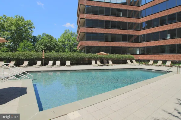 a view of a swimming pool with a patio and plants