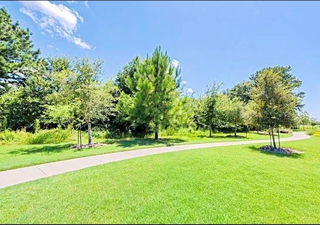 a view of green field with trees in the background