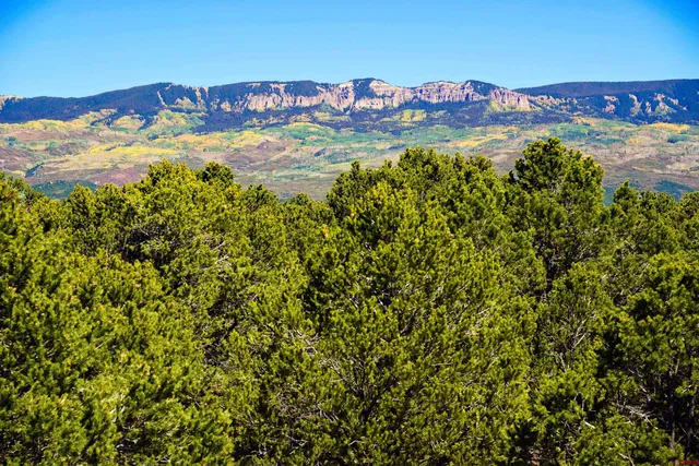 $825,000 | 76 Tower Road South, Ridgway, CO 81432