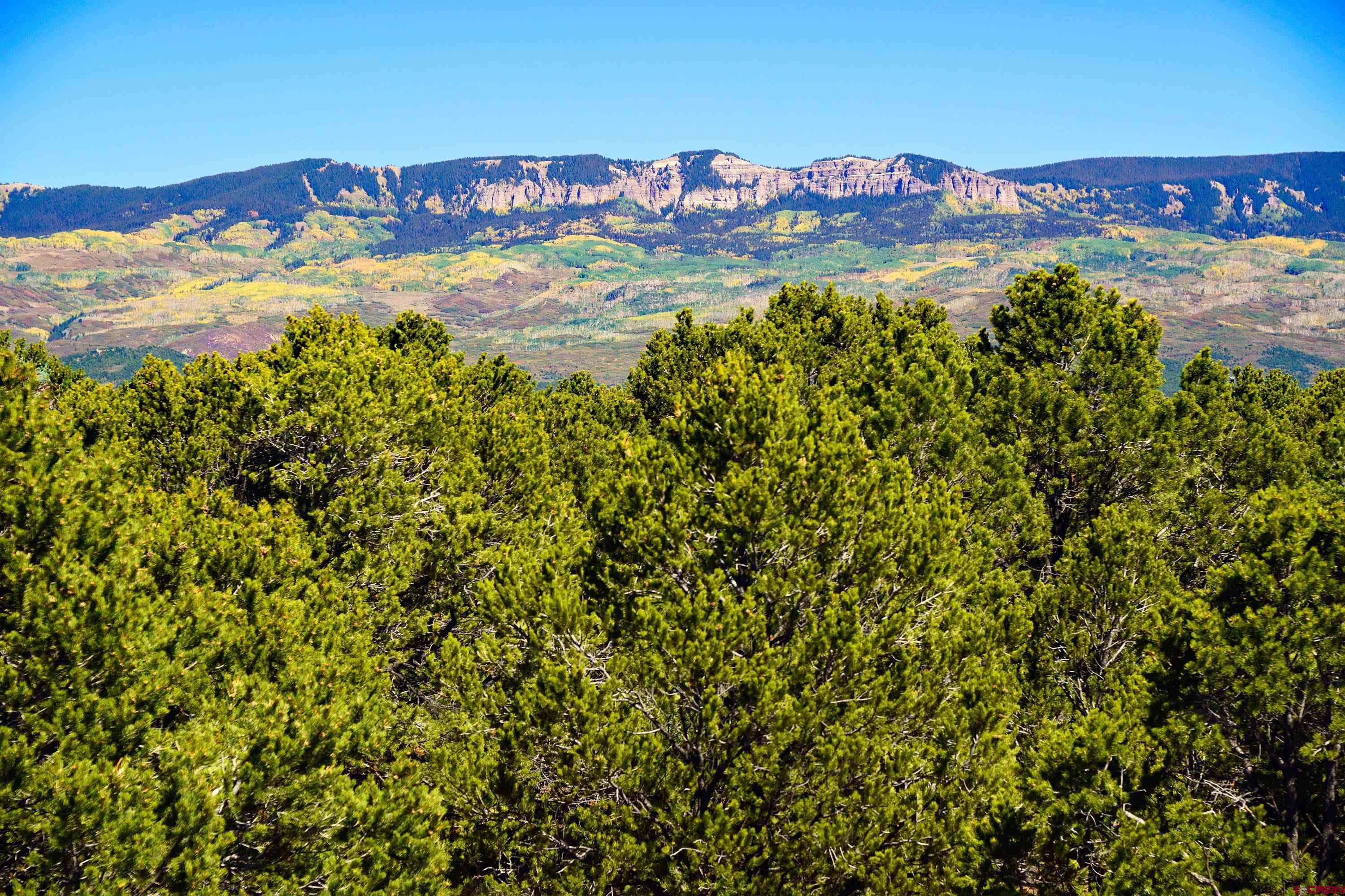76 Tower Road South Ridgway, CO 81432 - Photo 30 of 37 a view of a city