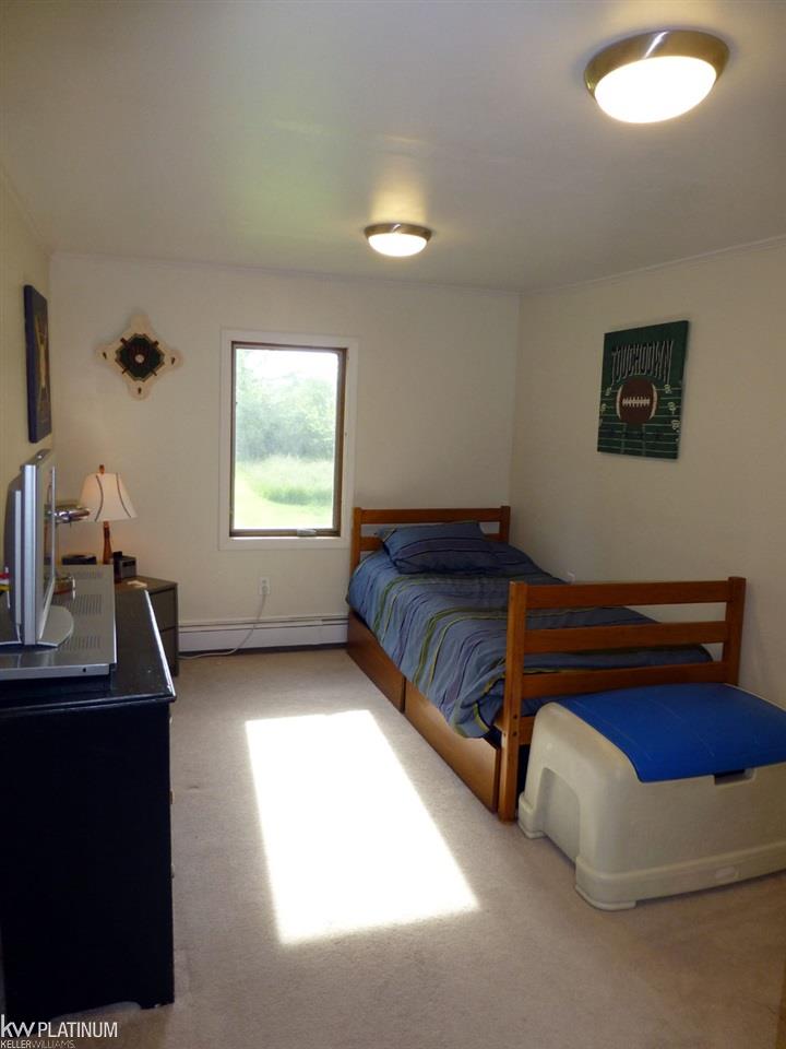 8701 Marquette Road Goodells, MI 48027 - Photo 16 of 41 Gallery Image 16