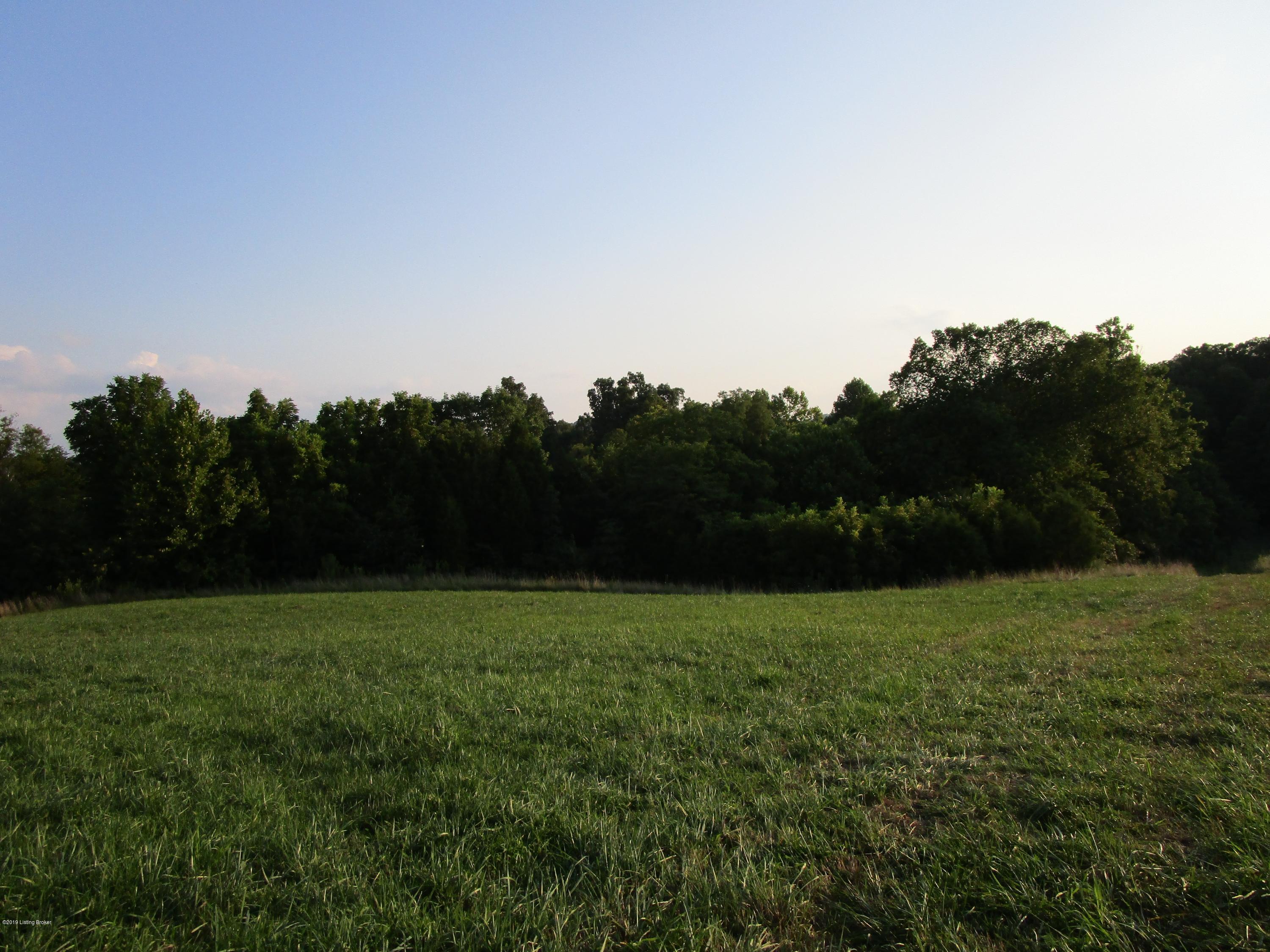 1171 Post-Hopewell Road Caneyville, KY 42721 - Photo 31 of 55 IMG_0167