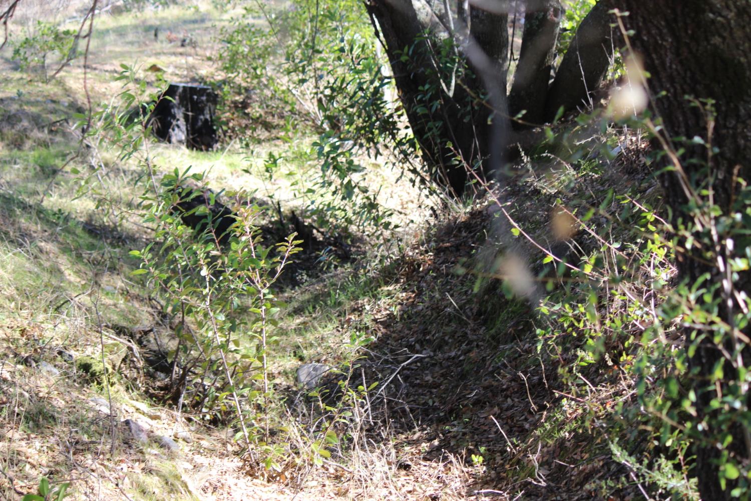0 Fricot City Road Mountain Ranch, CA 95249 - Photo 2 of 9