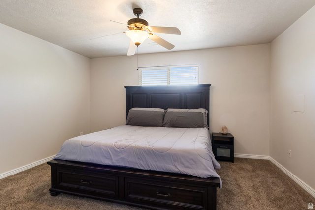 12238 South Madison View Drive Riverton, UT 84065 - Photo 15 of 37
