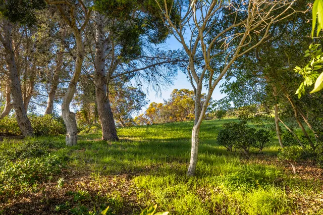 $15,000 | 2290 Whitney Avenue, Summerland, CA 93067