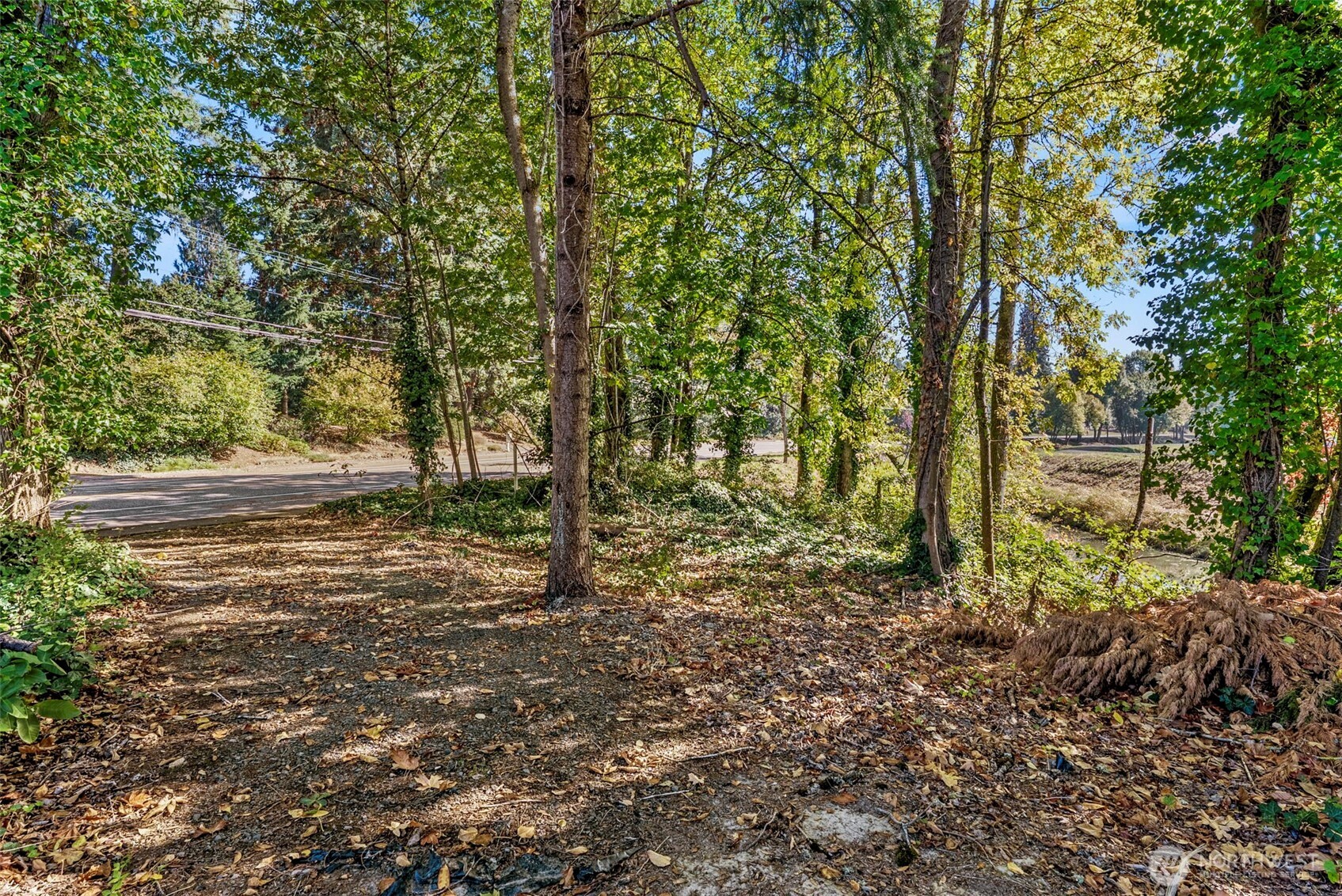 3167 Pacific Way Longview, WA 98632 - Photo 31 of 39 a view of outdoor space with deck and tree