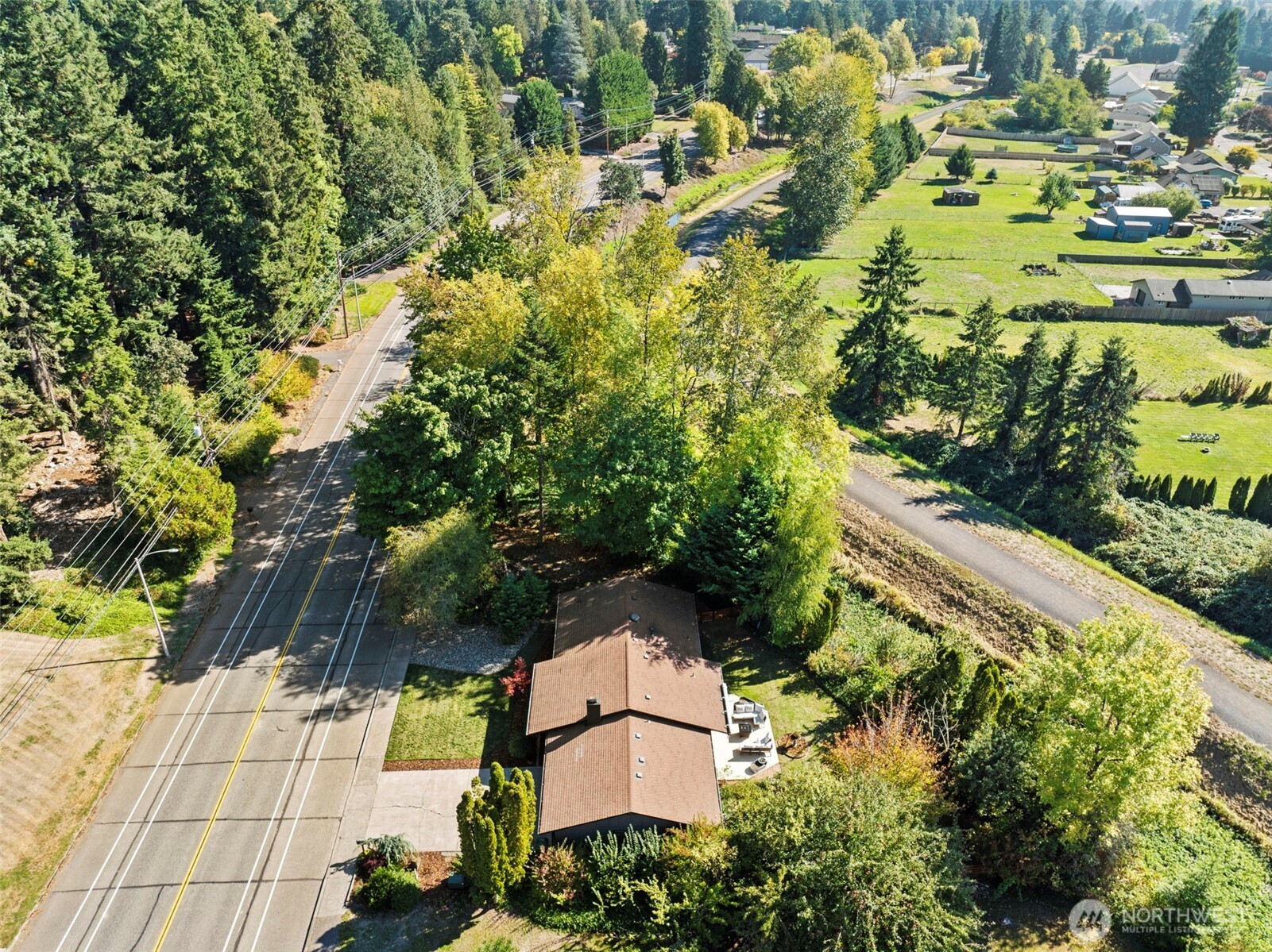 3167 Pacific Way Longview, WA 98632 - Photo 38 of 39 a picture of trees