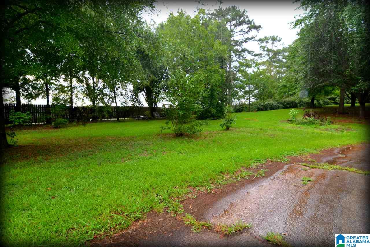 128 Rabbit Branch Road Cropwell, AL 35054 - Photo 49 of 50