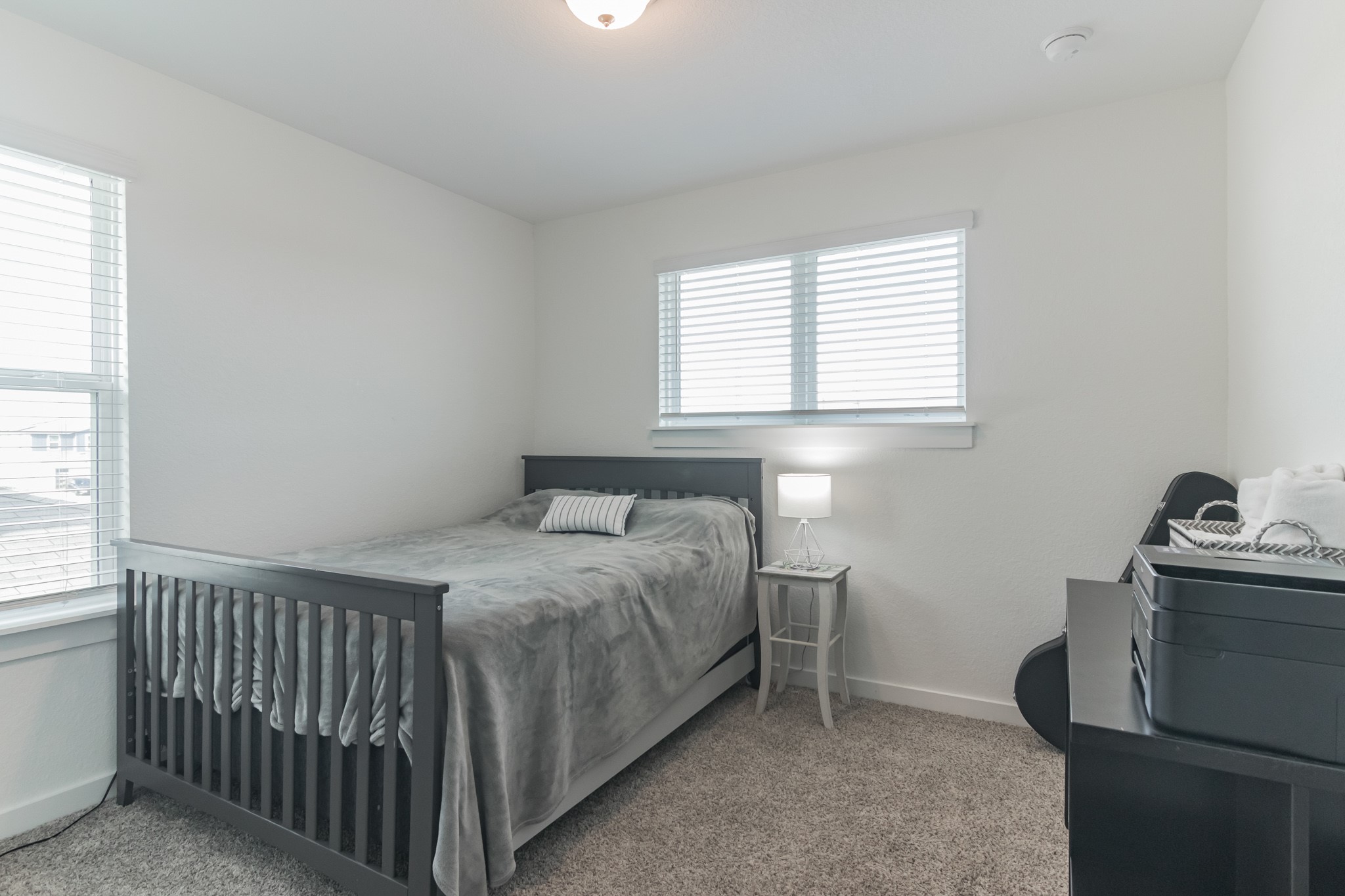116 Century Plant Road Leander, TX 78641 - Photo 22 of 30 Soft carpet flooring and natural light through dual windows define this serene bedroom space.