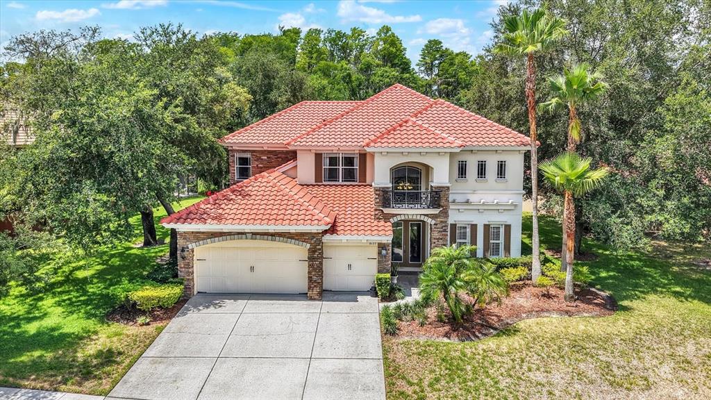 9137 Creedmoor Lane New Port Richey, FL 34654 - Photo 47 of 62