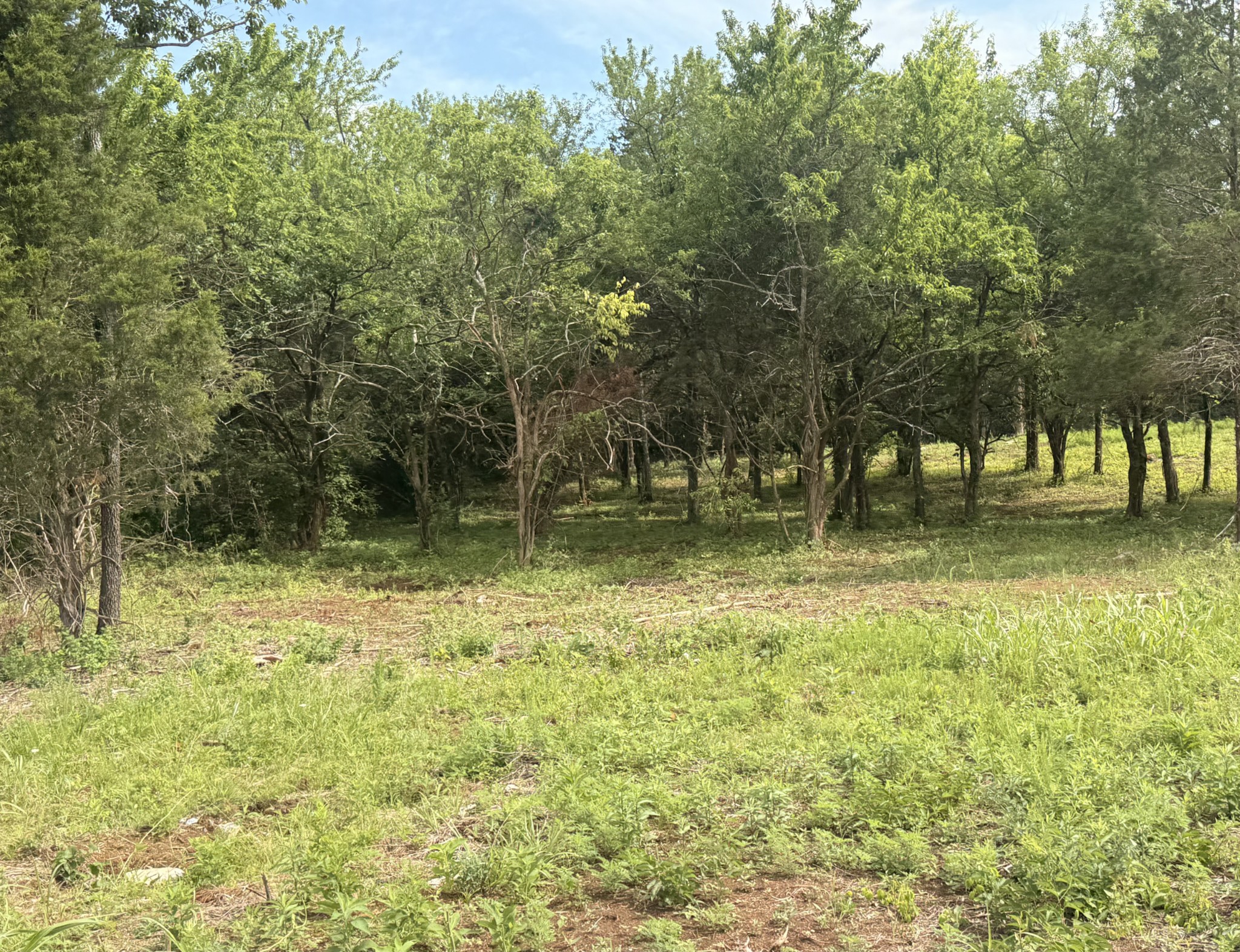 6730 Burnt Knob Road Murfreesboro, TN 37129 - Photo 6 of 7