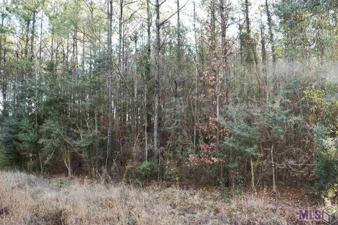 0 Nesom Road Clinton, LA 70722 - Photo 3 of 5 Gallery Image 3