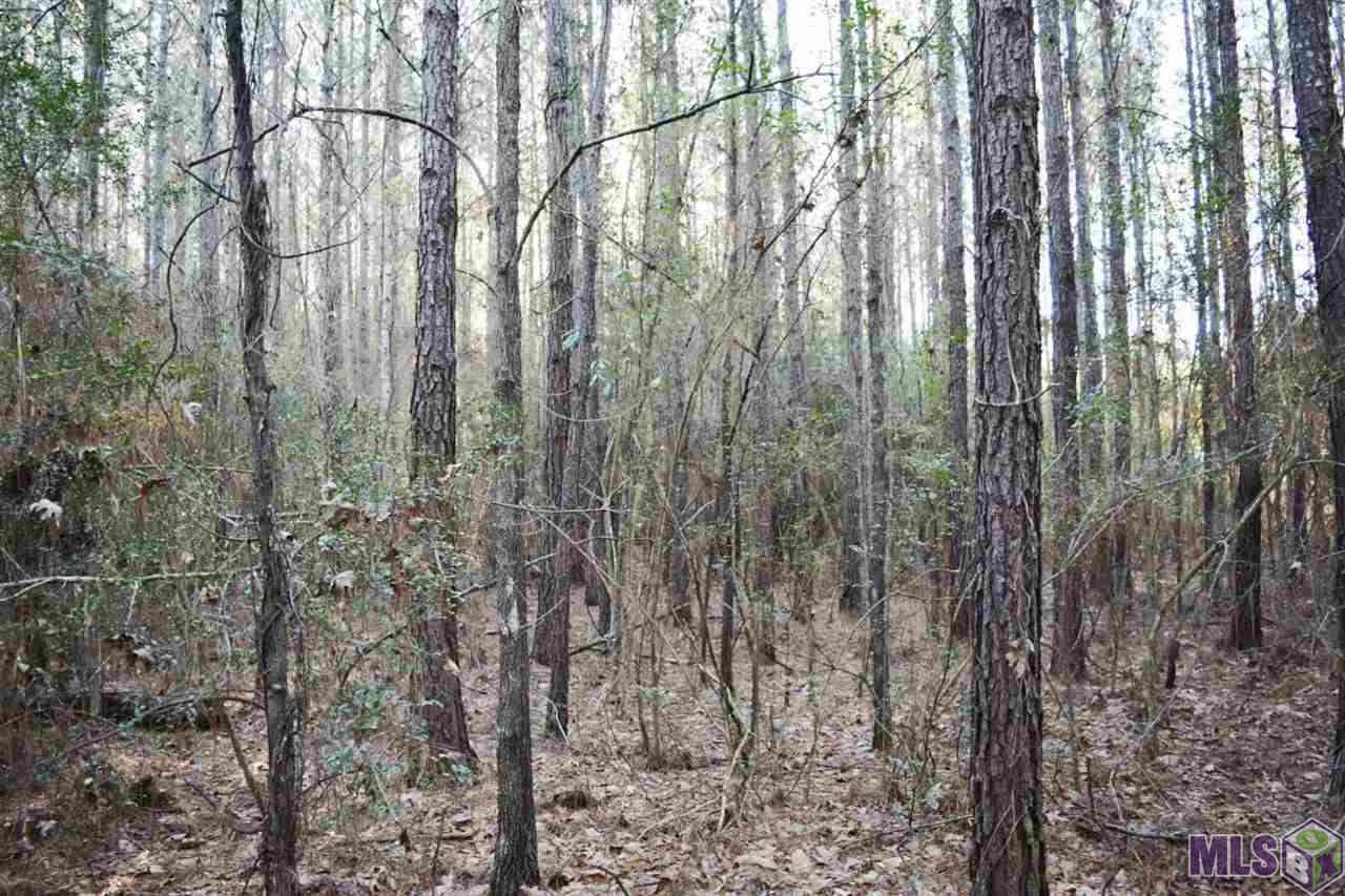 0 Nesom Road Clinton, LA 70722 - Photo 4 of 5 Gallery Image 4