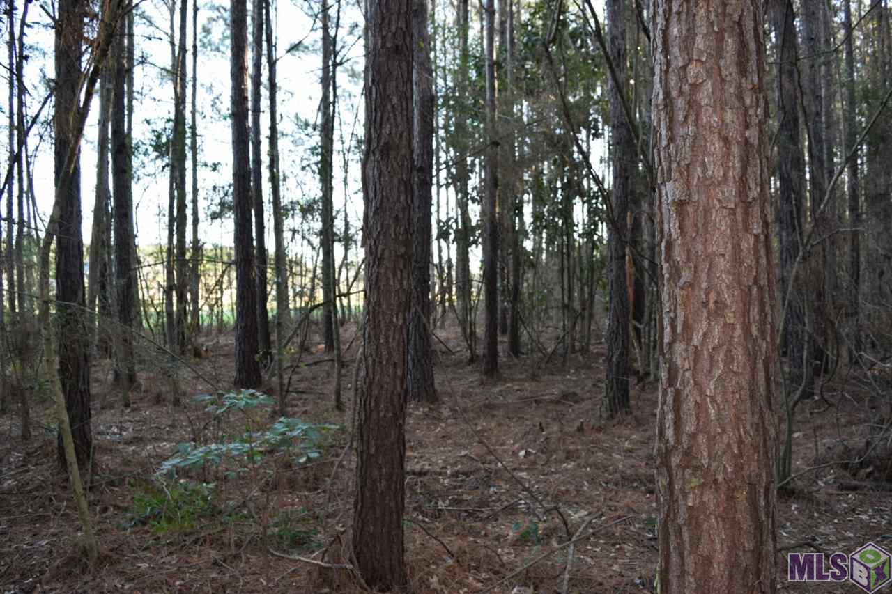 0 Nesom Road Clinton, LA 70722 - Photo 5 of 5 Gallery Image 5
