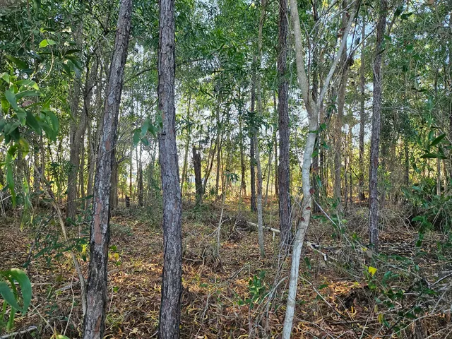 $249,000 | 5436 Northwest Briscoe Drive, Port St. Lucie, FL 34986