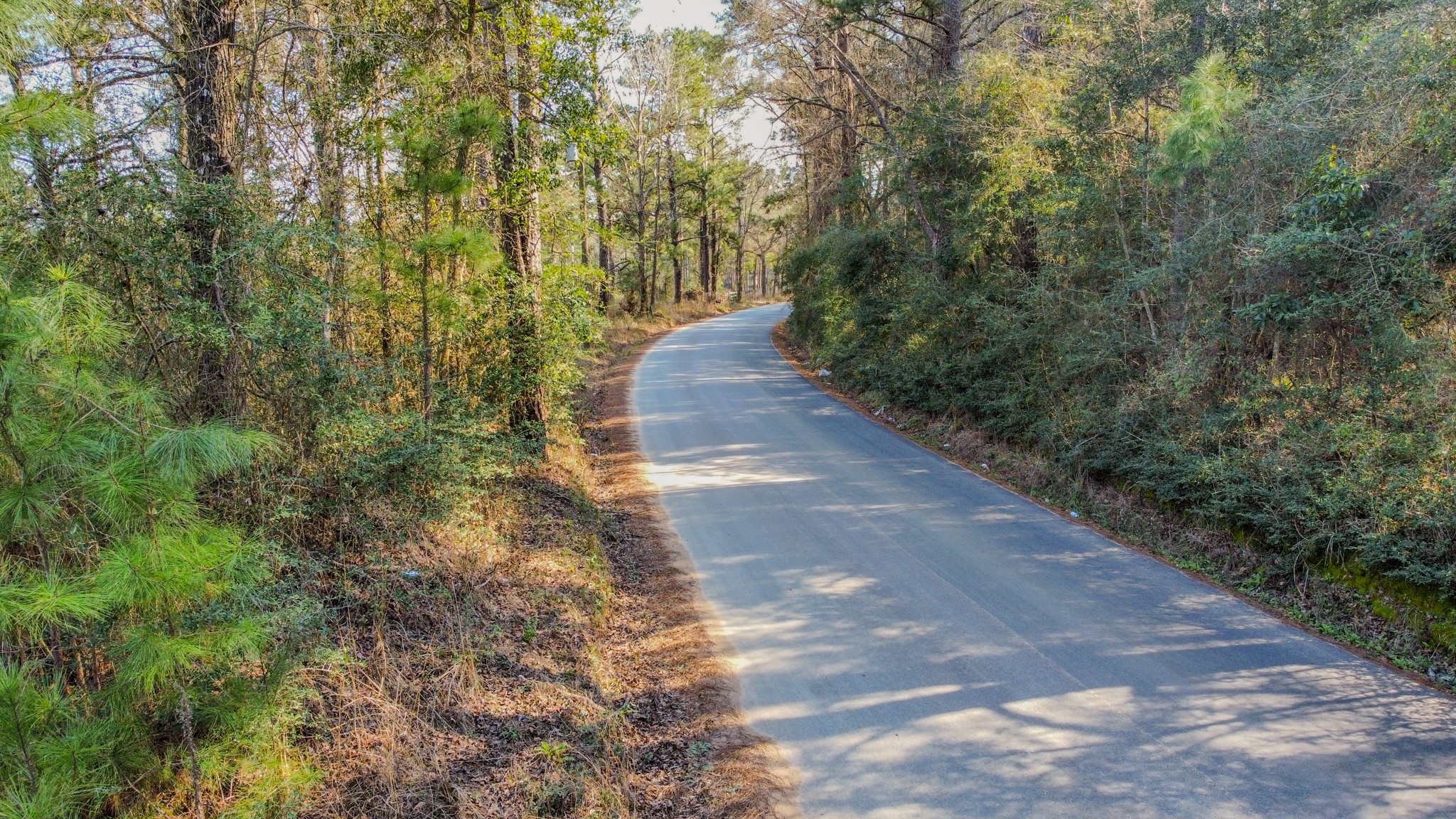 477 County Line Road Shepherd, TX 77371 - Photo 11 of 14