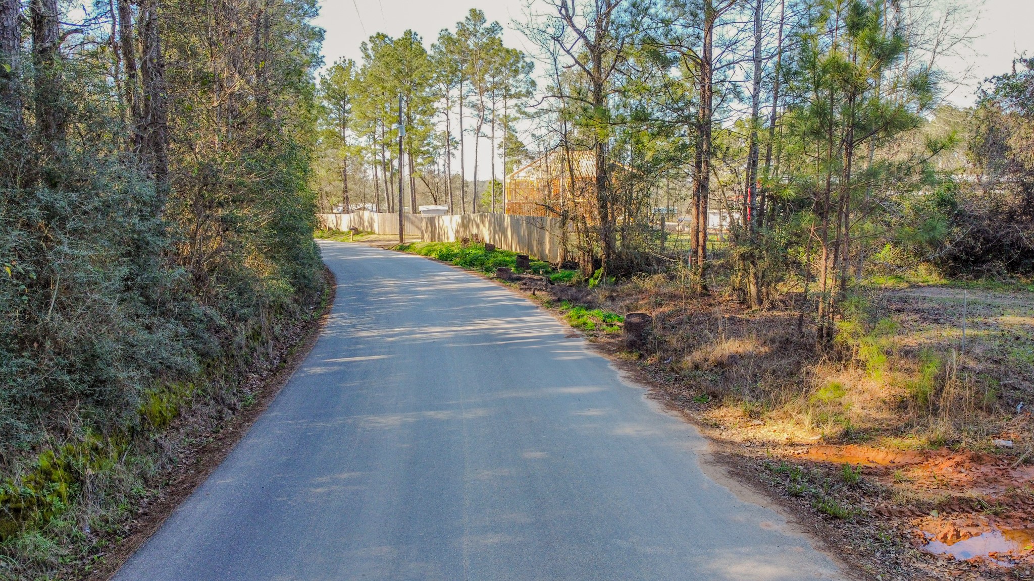 477 County Line Road Shepherd, TX 77371 - Photo 13 of 14