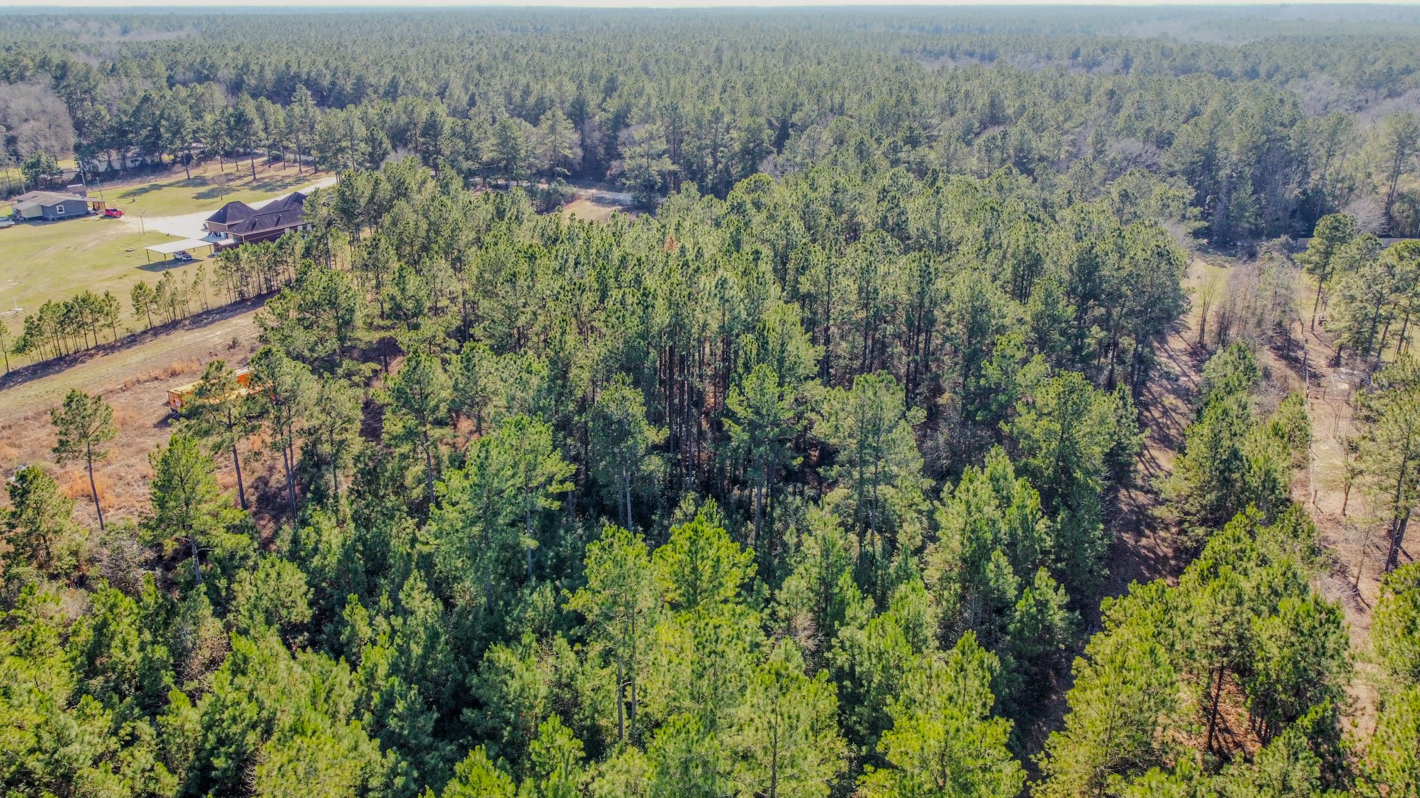 477 County Line Road Shepherd, TX 77371 - Photo 14 of 14