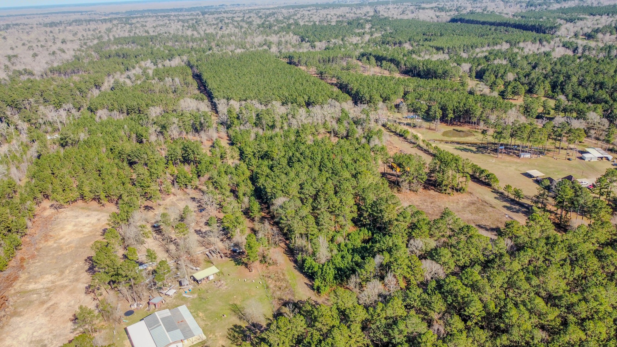 477 County Line Road Shepherd, TX 77371 - Photo 2 of 14