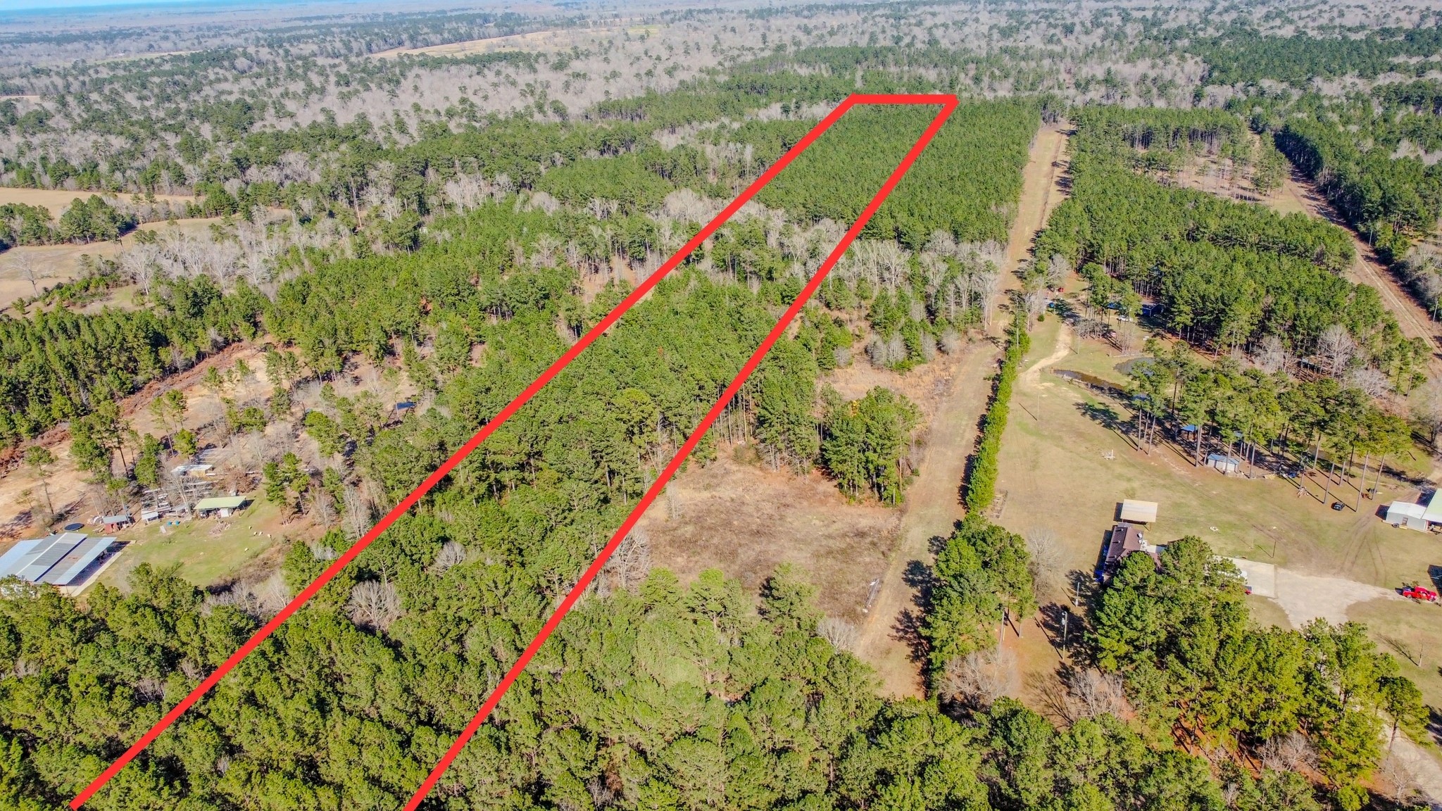 477 County Line Road Shepherd, TX 77371 - Photo 3 of 14