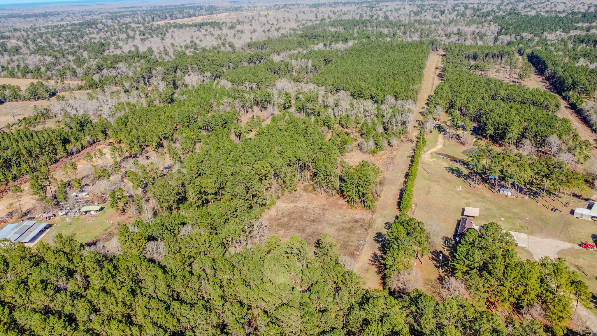 477 County Line Road Shepherd, TX 77371 - Photo 4 of 14