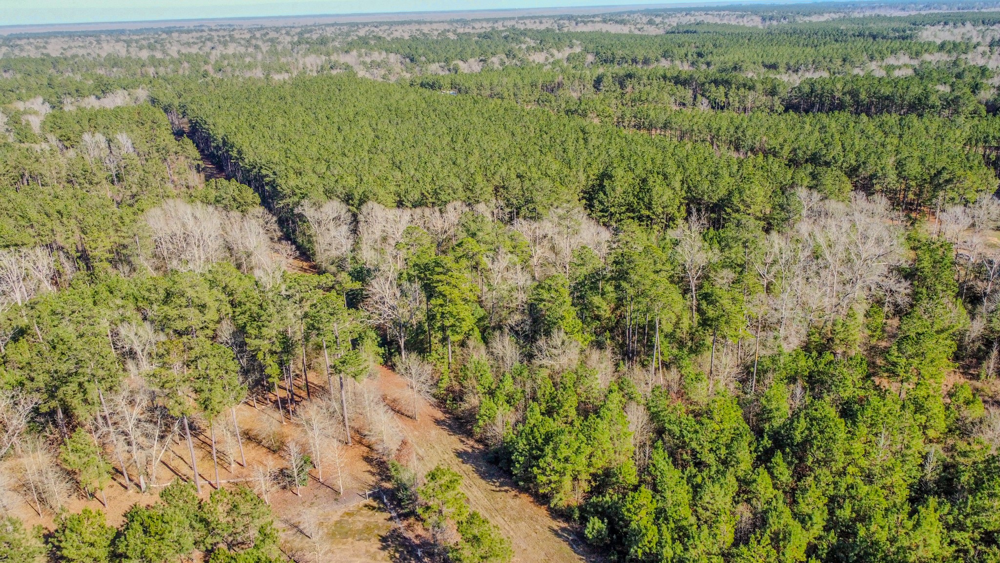 477 County Line Road Shepherd, TX 77371 - Photo 7 of 14