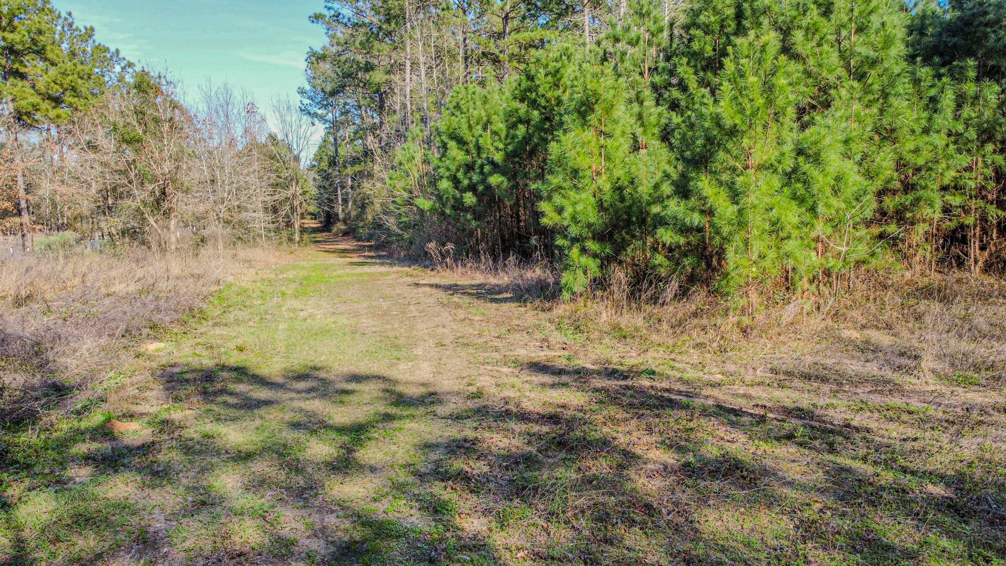 477 County Line Road Shepherd, TX 77371 - Photo 9 of 14