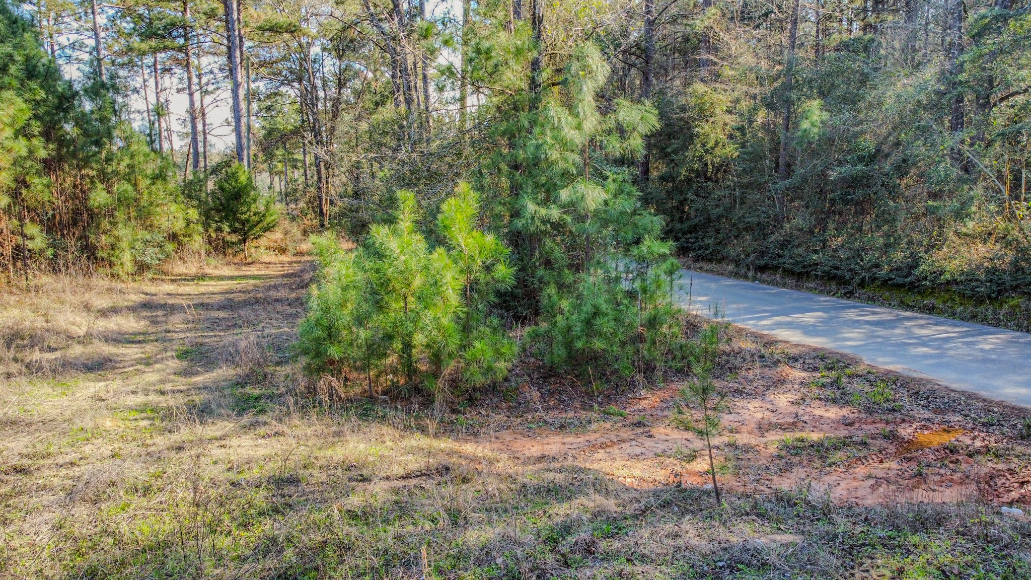 477 County Line Road Shepherd, TX 77371 - Photo 10 of 14