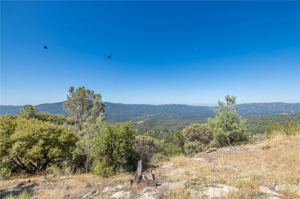 49 Old Yosemite Road Oakhurst, CA 93644 - Photo 11 of 41 Gallery Image 11