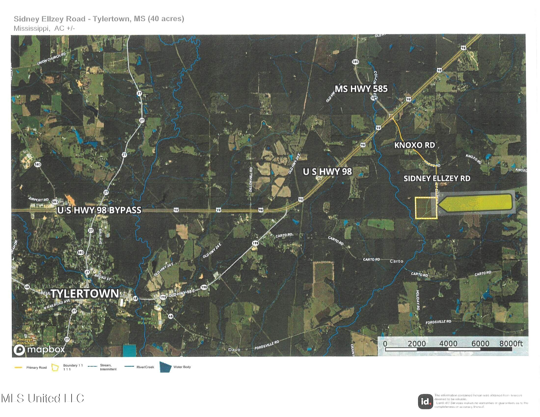 0 Sidney Ellzey Road Tylertown, MS 39667 - Photo 11 of 11 Sidney Ellzey - JPEG Aerial wide