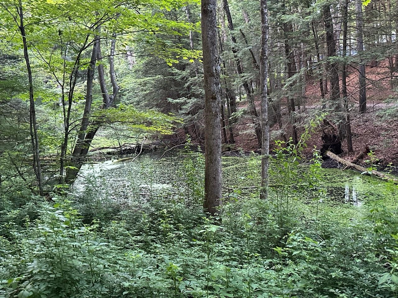 84 Signal Pine Road Putney, VT 05346 - Photo 7 of 15