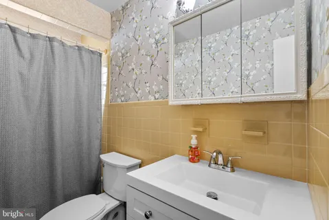 a bathroom with a sink and a toilet