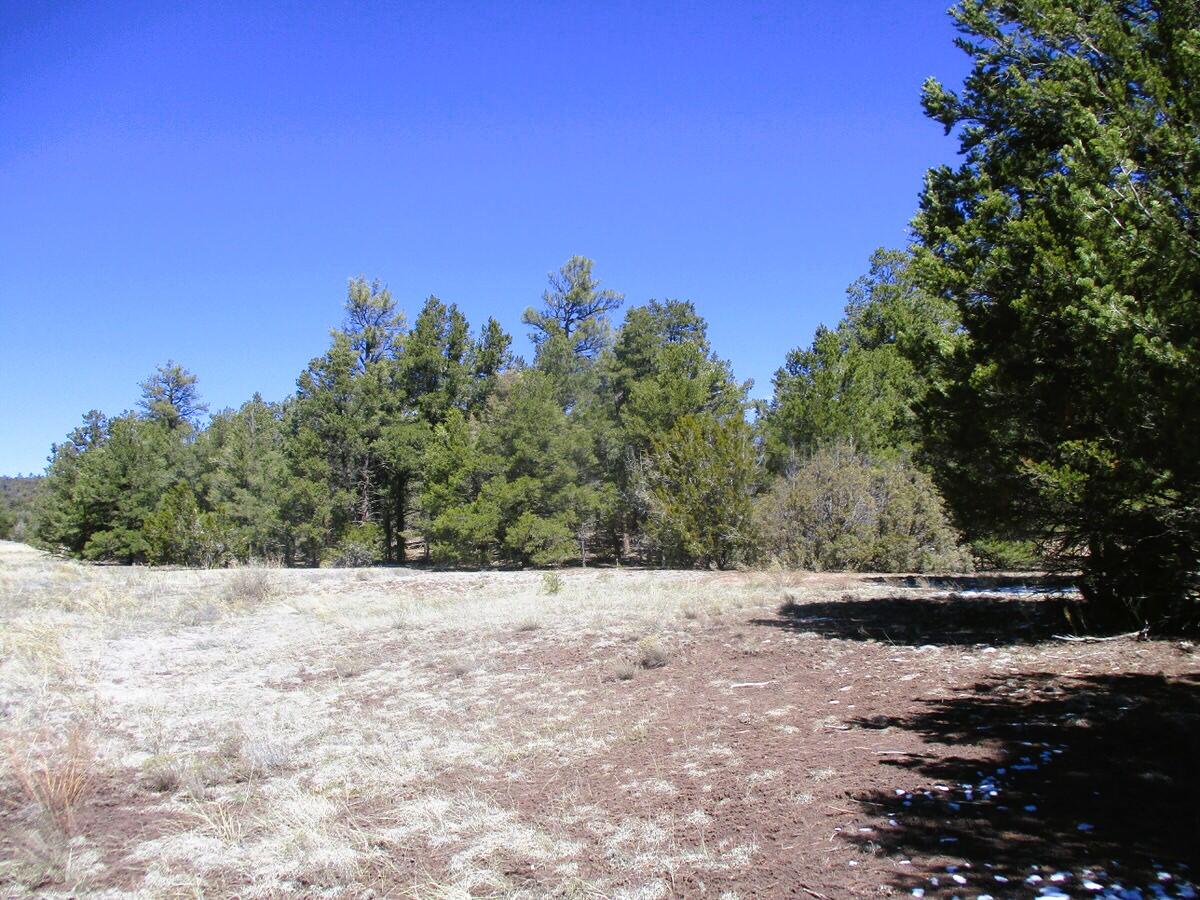 Lot 5 Copperweed Road Ramah, NM 87321 - Photo 23 of 88 Gallery Image 23
