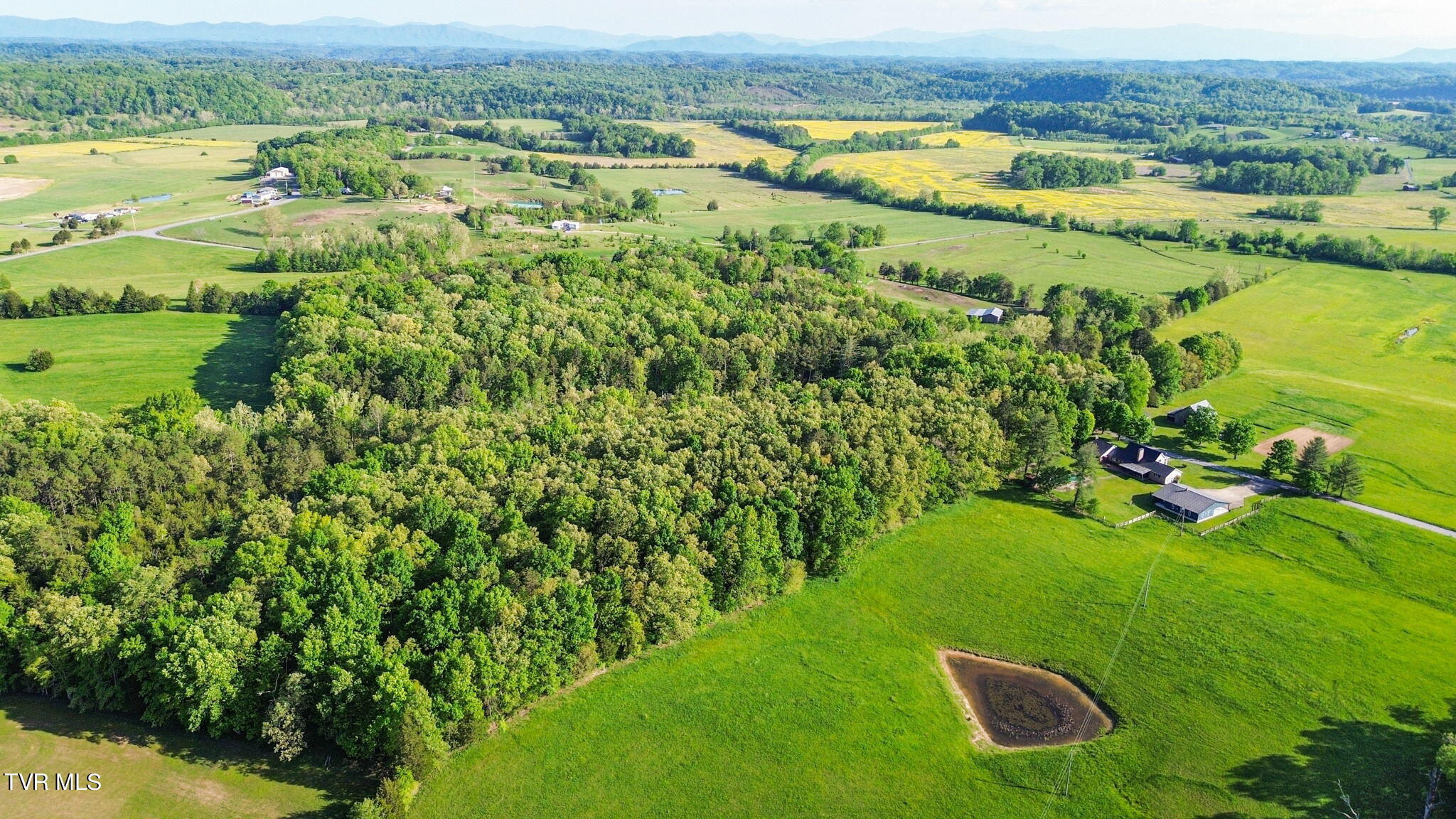 0 Purgason Road, Unit 2 Mohawk, TN 37810 - Photo 3 of 8 9-web-or-mls-DJI_0285