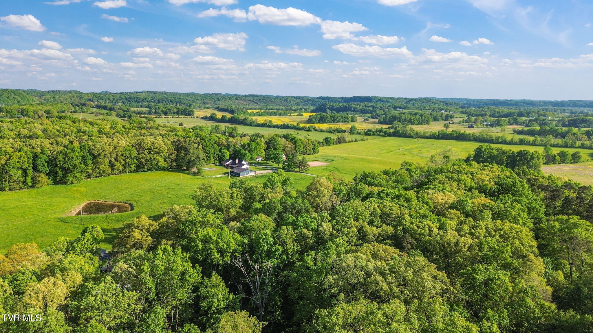 0 Purgason Road, Unit 2 Mohawk, TN 37810 - Photo 7 of 8 15-web-or-mls-DJI_0305