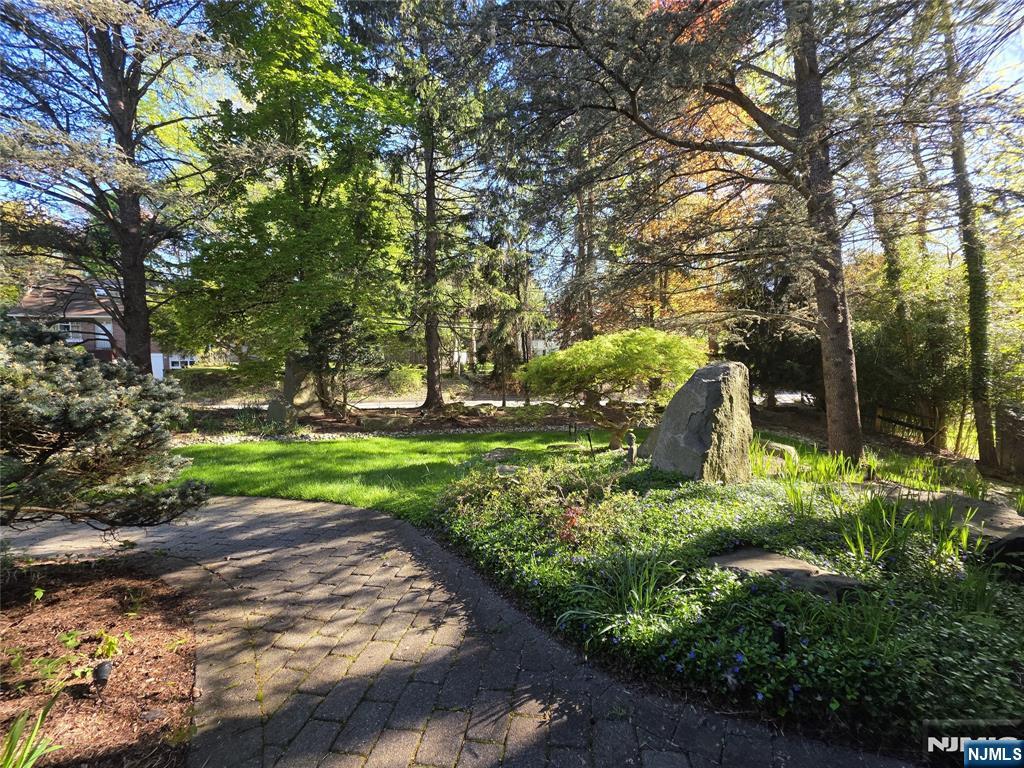 33 Cedar Lane Closter, NJ 07624 - Photo 37 of 44 a view of a garden with a tree