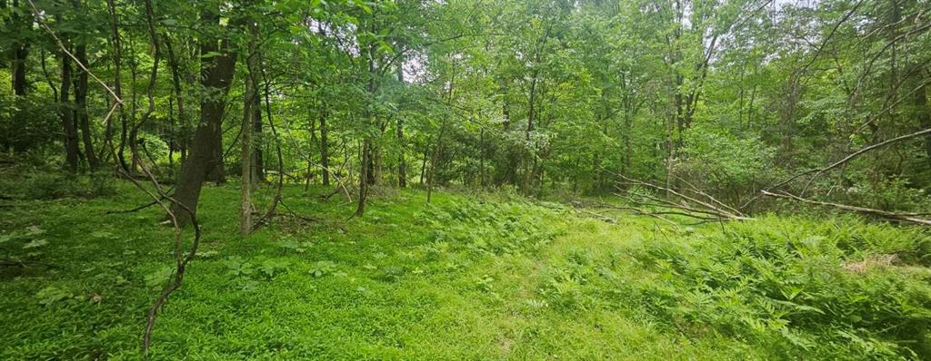 0 Reservoir Road Saltsburg, PA 15681 - Photo 5 of 9 Gallery Image 5