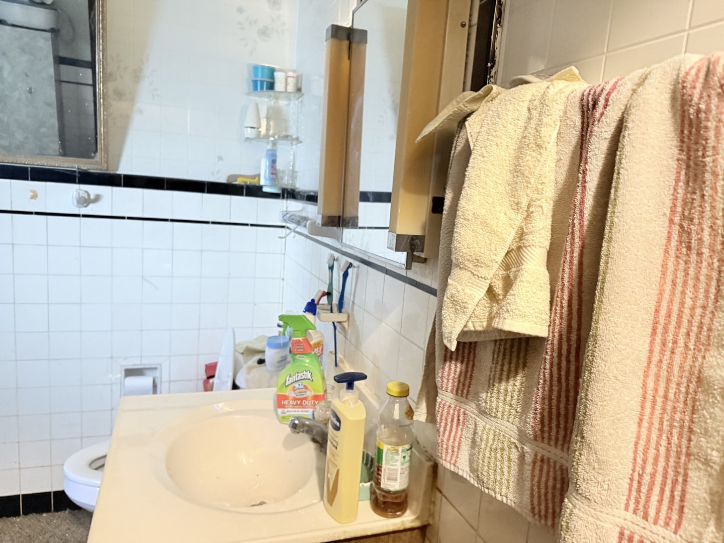 131 West Erie Street Spring Valley, IL 61362 - Photo 17 of 20 a bathroom with a sink and a mirror
