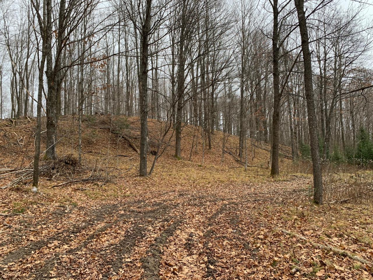 On Forest Road Deerbrook, WI 54424 - Photo 28 of 31 Gallery Image 28