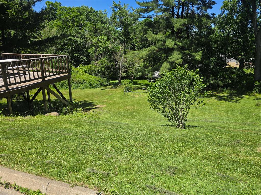 1767 Hassam Road Coraopolis, PA 15108 - Photo 3 of 23 Backyard