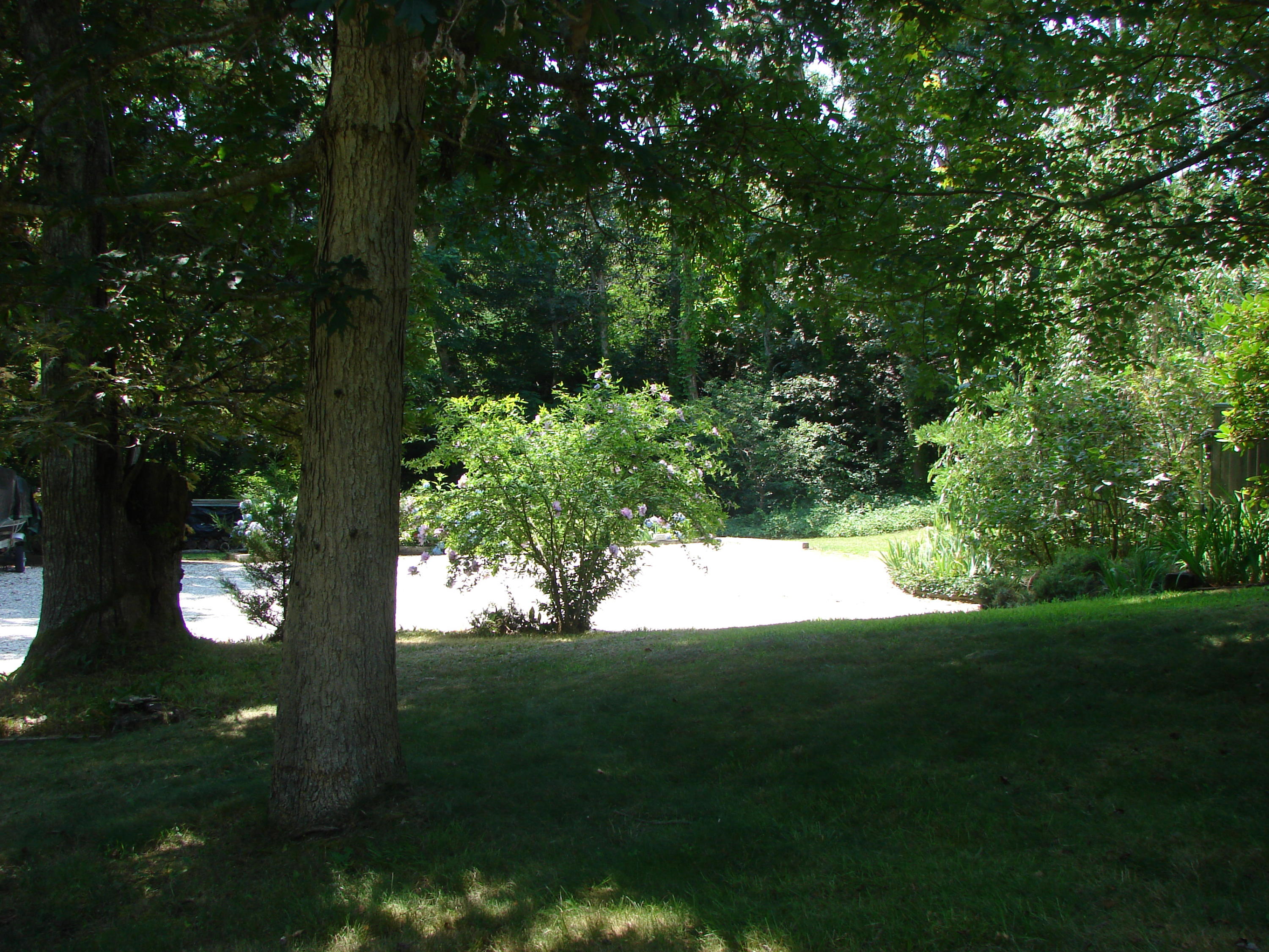 35 Pond Road Orleans, MA 02653 - Photo 60 of 65 DSC05509