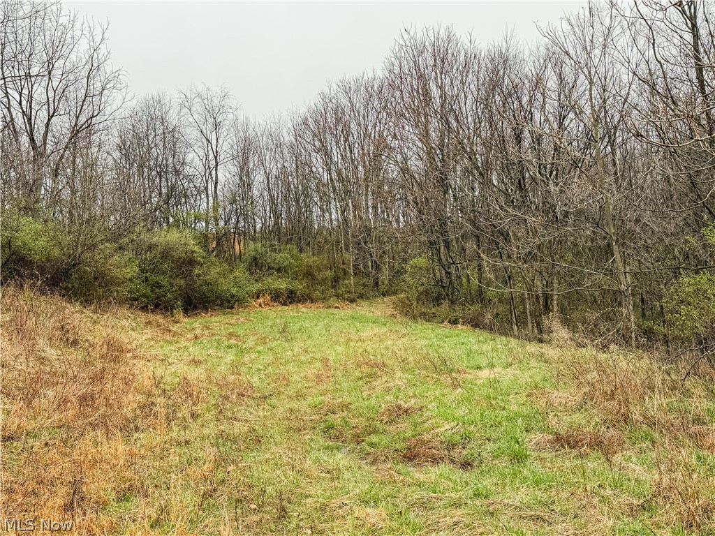 Buck Hill Road Frazeysburg, OH 43822 - Photo 2 of 24