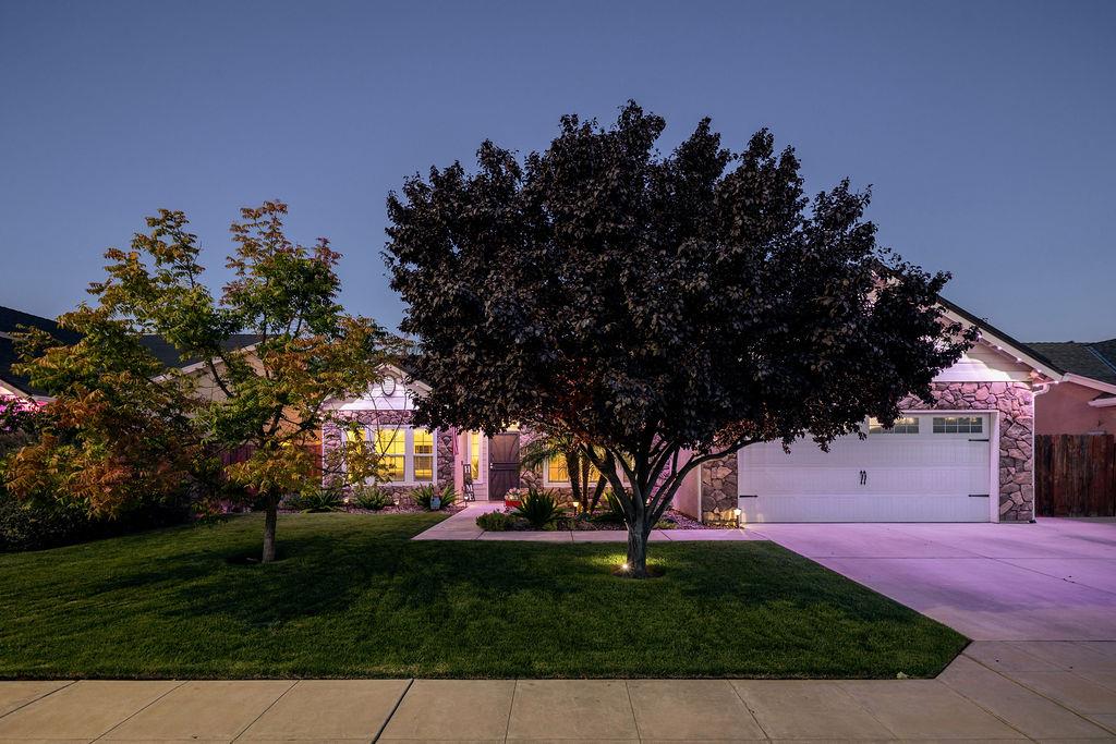 602 South Filbert Avenue Fresno, CA 93727 - Photo 49 of 50 a tree in front of a house with a garden