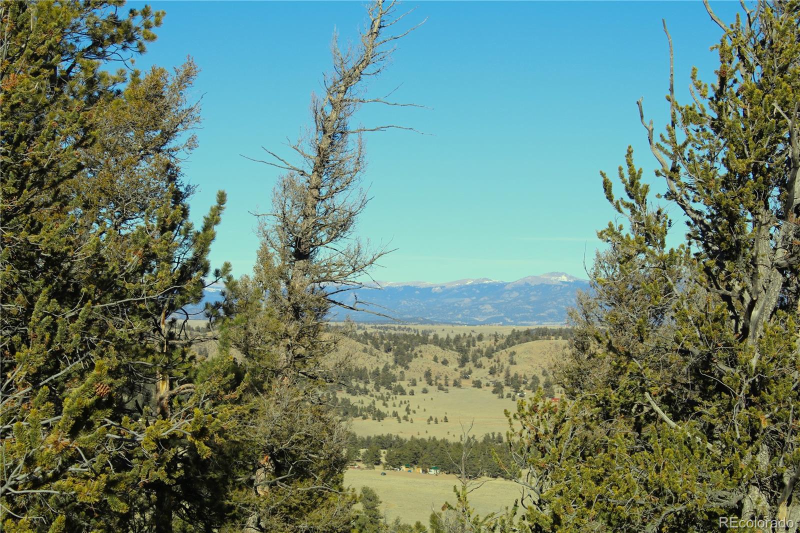 697 Summit Road Hartsel, CO 80449 - Photo 12 of 15