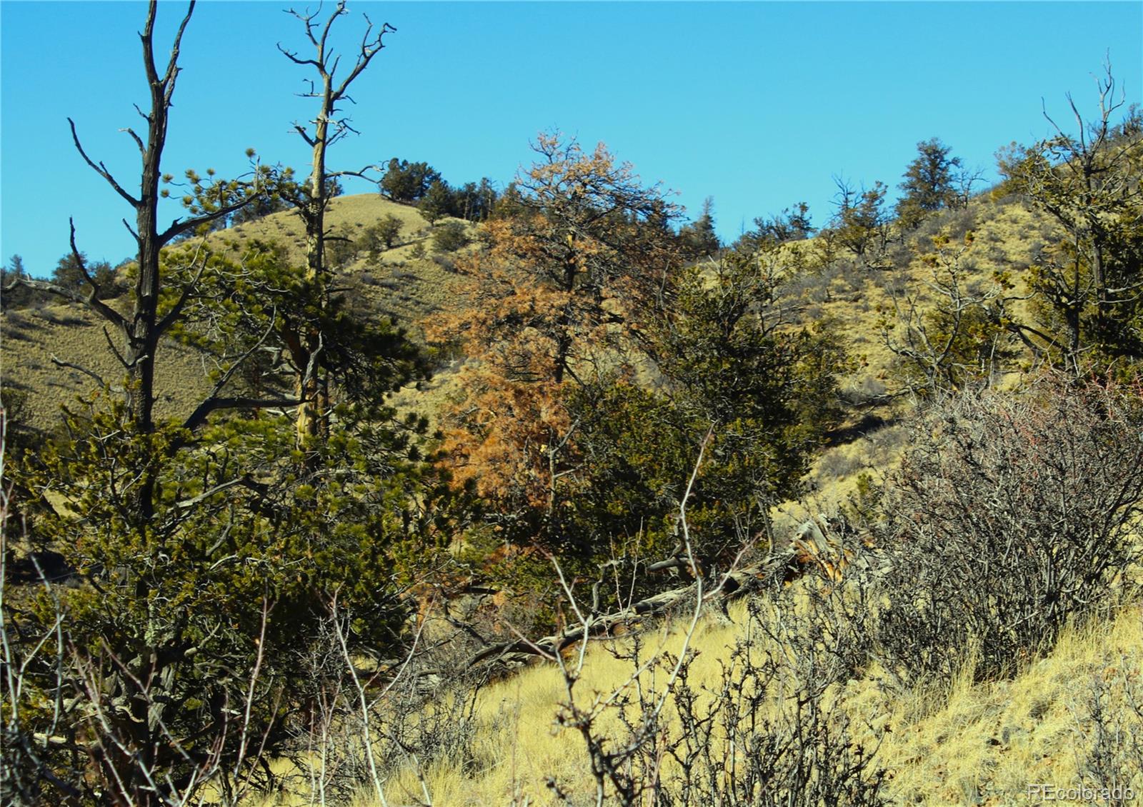 697 Summit Road Hartsel, CO 80449 - Photo 14 of 15